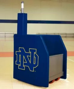 Bison Full Color Over-Sized logo