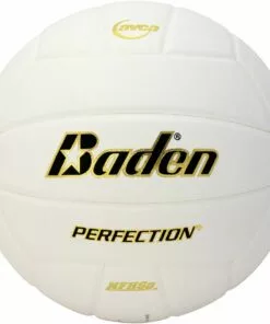 Baden VX5E Perfection 15-0 Leather Game Volleyball, WHITE
