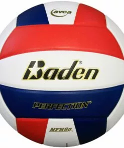 Baden VX5E Perfection 15-0 Leather Game Volleyball, COLORS