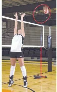 Tandem Sport TSTARGET Volleyball Target Challenger 7 Tandem Sport TSTARGET Volleyball Target Challenger -Volleyball Sales Shop a25 775b 16